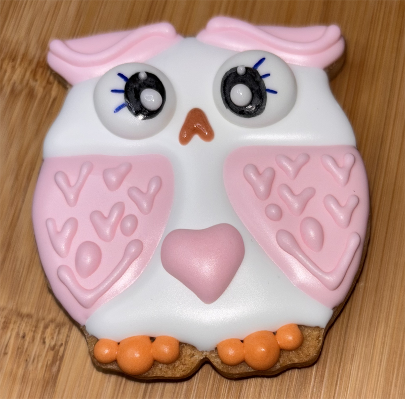 Valentines Day Owl Cookie - Ten Sleep Sweets, WY